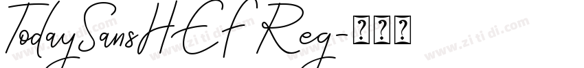 TodaySansHEF Reg字体转换